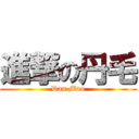 進撃の丹毛 (Dan Mao)