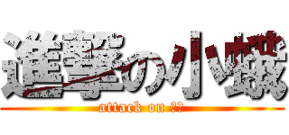 進撃の小蛾 (attack on 小蛾)