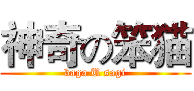 神奇の笨猫 (baga U sagi)