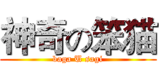 神奇の笨猫 (baga U sagi)