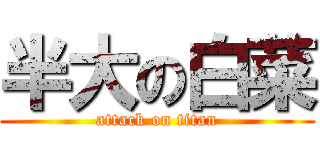 半大の白菜 (attack on titan)