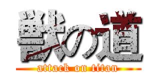 獣の道 (attack on titan)
