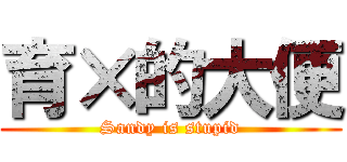 育×的大便 (Sandy is stupid)