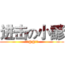 进击の小諺 (帥氣@@帥氣)