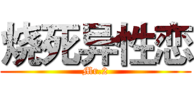 烧死异性恋 (Mr.2)