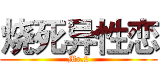 烧死异性恋 (Mr.2)