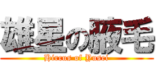 雄星の腋毛 (Hircus of Yusei)