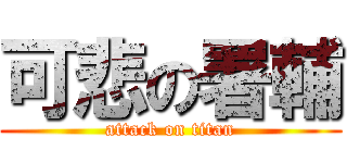 可悲の署輔 (attack on titan)
