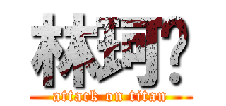 林珂瑋 (attack on titan)