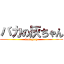 バカの灰ちゃん (fool gray)