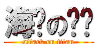 海贼の战队 (attack on titan)