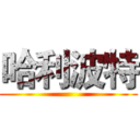 哈利波特 ()