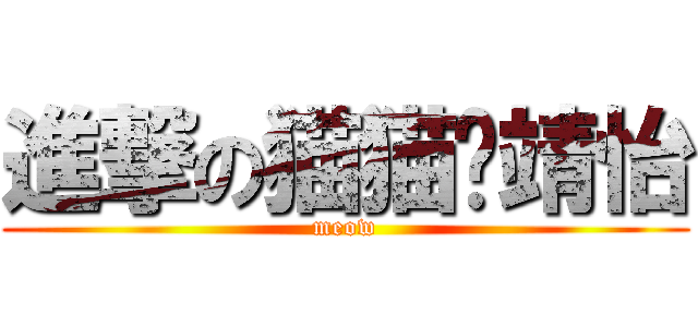 進撃の猫猫·靖怡 (meow)