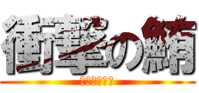 衝撃の鮪 (キハダマグロ)