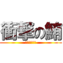 衝撃の鮪 (キハダマグロ)