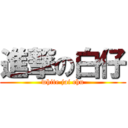 進撃の白仔 (white jai chu)