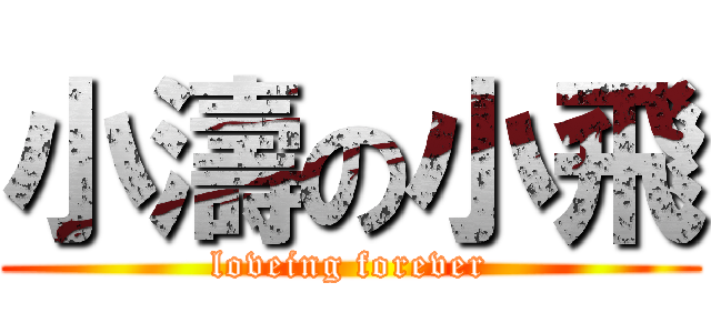 小濤の小飛 (loveing forever)