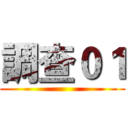 調查０１ ()