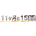 １１ヶ月と１５日目 ()