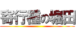 寄行種の堀田 ()