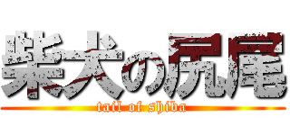 柴犬の尻尾 (tail of shiba)