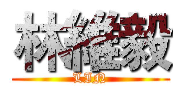 林維毅 (LIN)