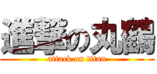 進撃の丸鶴 (attack on titan)