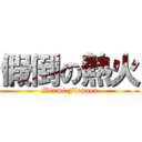 假倒の熱火 (Miami Flopper)