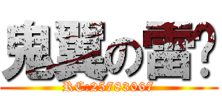 鬼翼の雷玟 (RC:25783067)