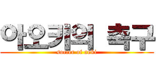 아오키의 축구 (soccer of aoki)