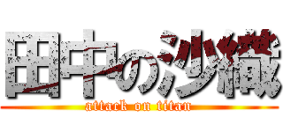 田中の沙織 (attack on titan)