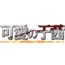 可愛の于茜 (attack on titan)