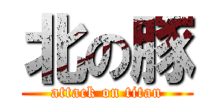 北の豚 (attack on titan)