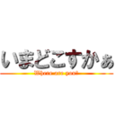 いまどこすかぁ (Where are you?)