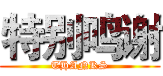 特别鸣谢 (THANKS)