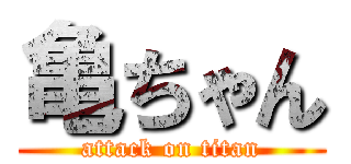 亀ちゃん (attack on titan)