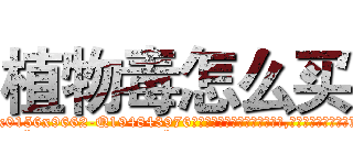 植物毒怎么买 (植物毒怎么买【电.话186x0156x9662-Q194843976林氏药业】我们做的是长期生意,靠的是老客户长期支持
参考消息网2月20日报道 韩媒称，“剩女多、离婚率高的城市，房价一定会上涨。”这是中国经济学家金岩石2016年12月参加在上海举行的房地产相关论坛时说的话。
)