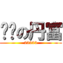 脑补の丹富 (23333)