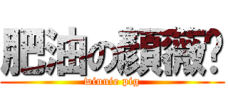 肥油の顏薇妮 (winnie pig)