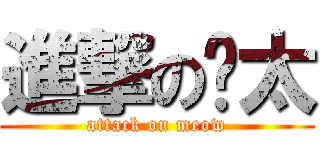 進撃の喵太 (attack on meow)