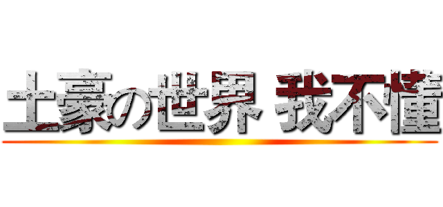 土豪の世界 我不懂 ()