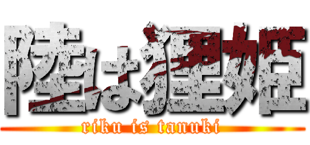 陸は狸姫 (riku is tanuki)