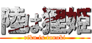 陸は狸姫 (riku is tanuki)