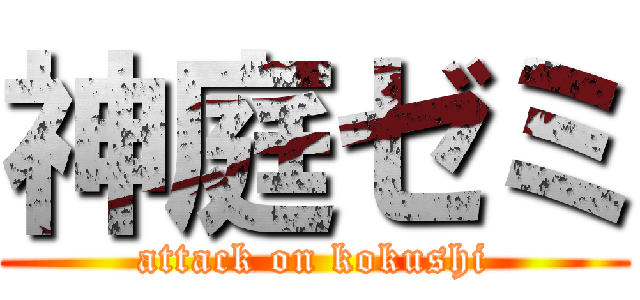 神庭ゼミ (attack on kokushi)