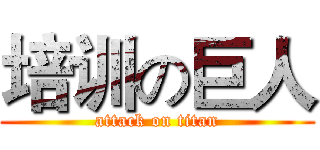 培训の巨人 (attack on titan)