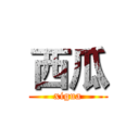 西瓜 (xigua)