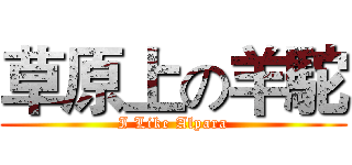 草原上の羊駝 (I Like Alpara)