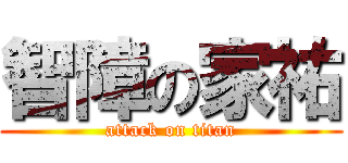 智障の家祐 (attack on titan)