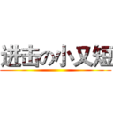 进击の小又短 ()