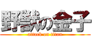 野獣の金子 (attack on titan)